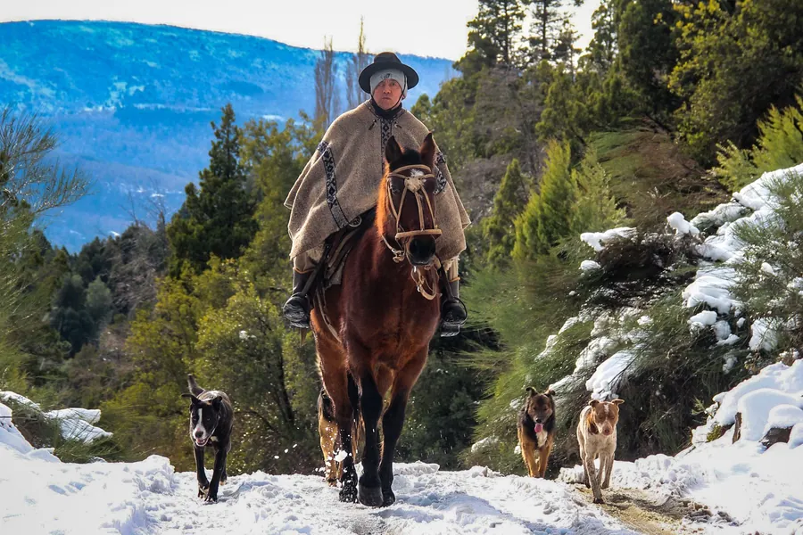 Paisano a caballo con poncho y boina, acompañado por sus perros, en un camino nevado de la cordillera